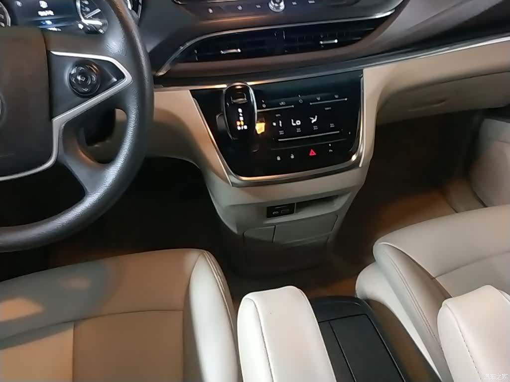 Buick GL8, 2020 14