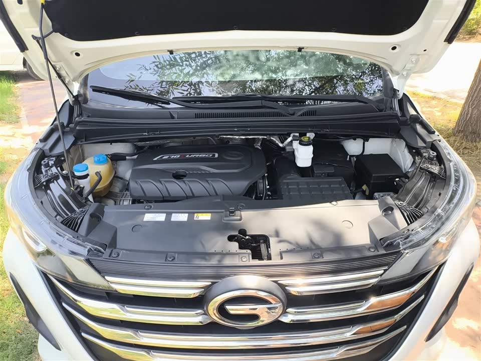 Trumpchi Trumpchi M6 Trumpchi Trumpchi M6