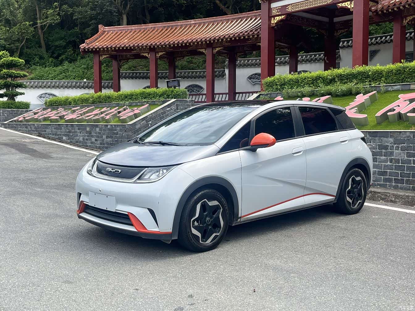 BYD Dolphin, 2022 1