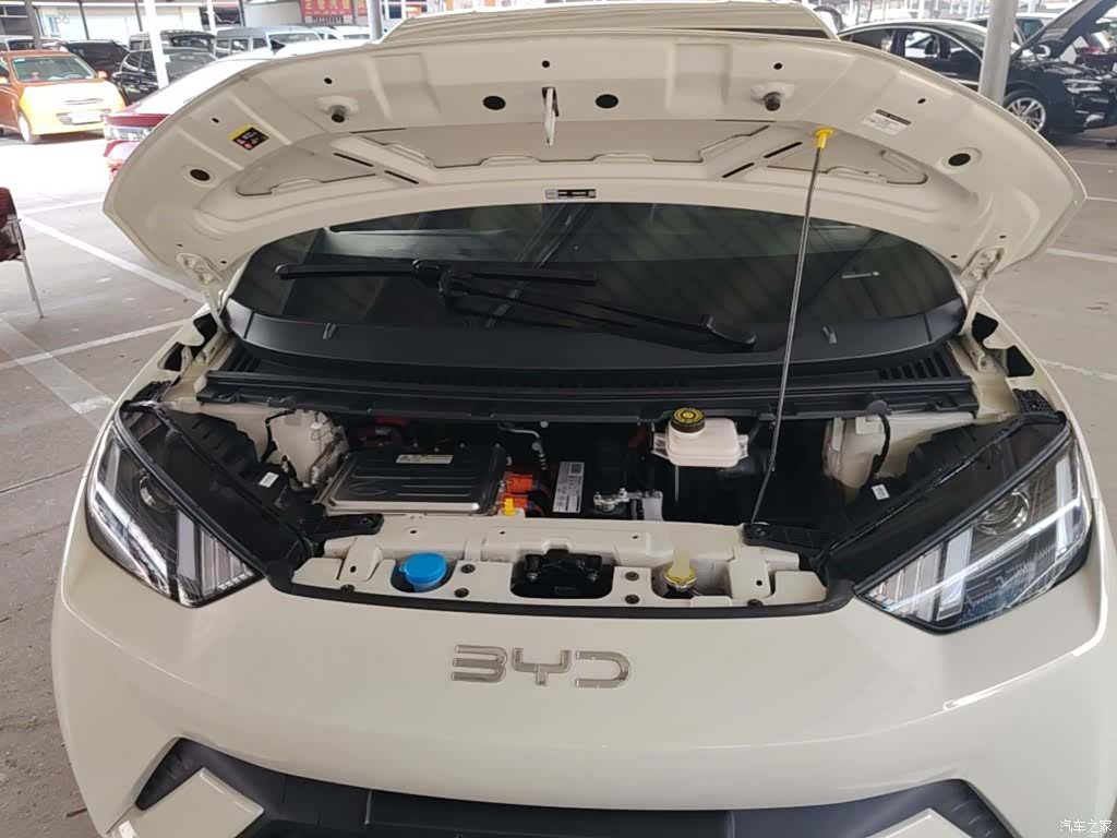 BYD Seagull, 2024 20
