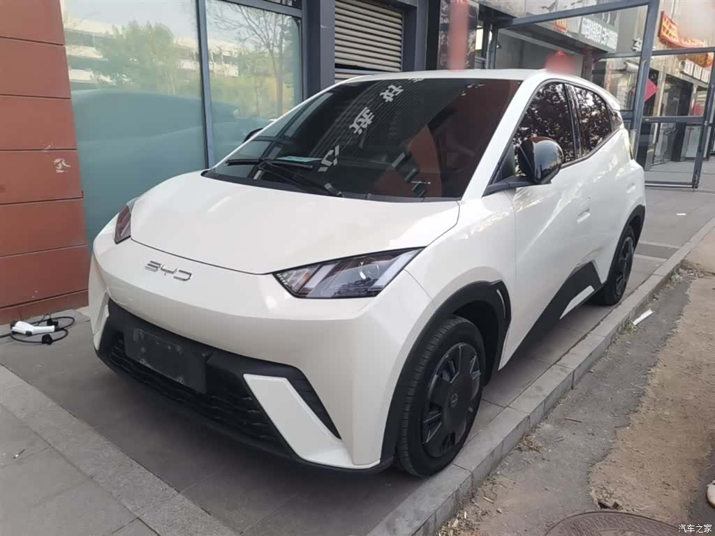 BYD Seagull, 2023 1