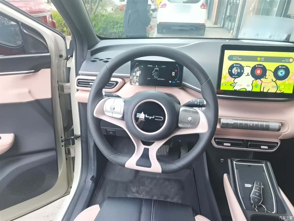 BYD Seagull, 2023 11