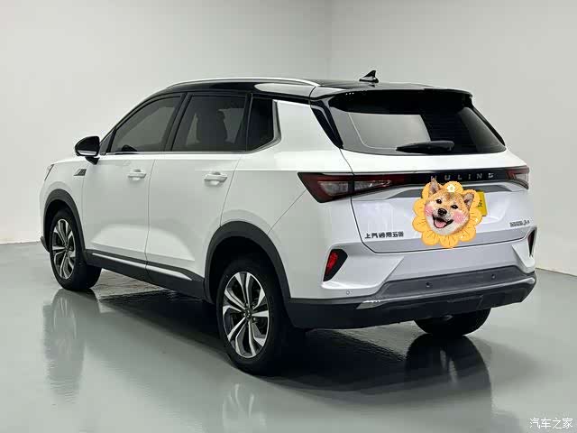 Wuling DHT, 2024 16