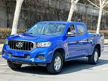 ��ͨT60 2020�� 2.0T�����ֶ������ߵ����ȷ�泤���VI