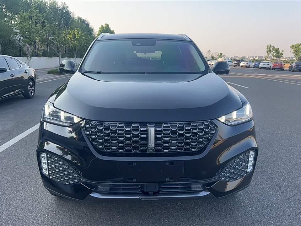 Weipai VV6