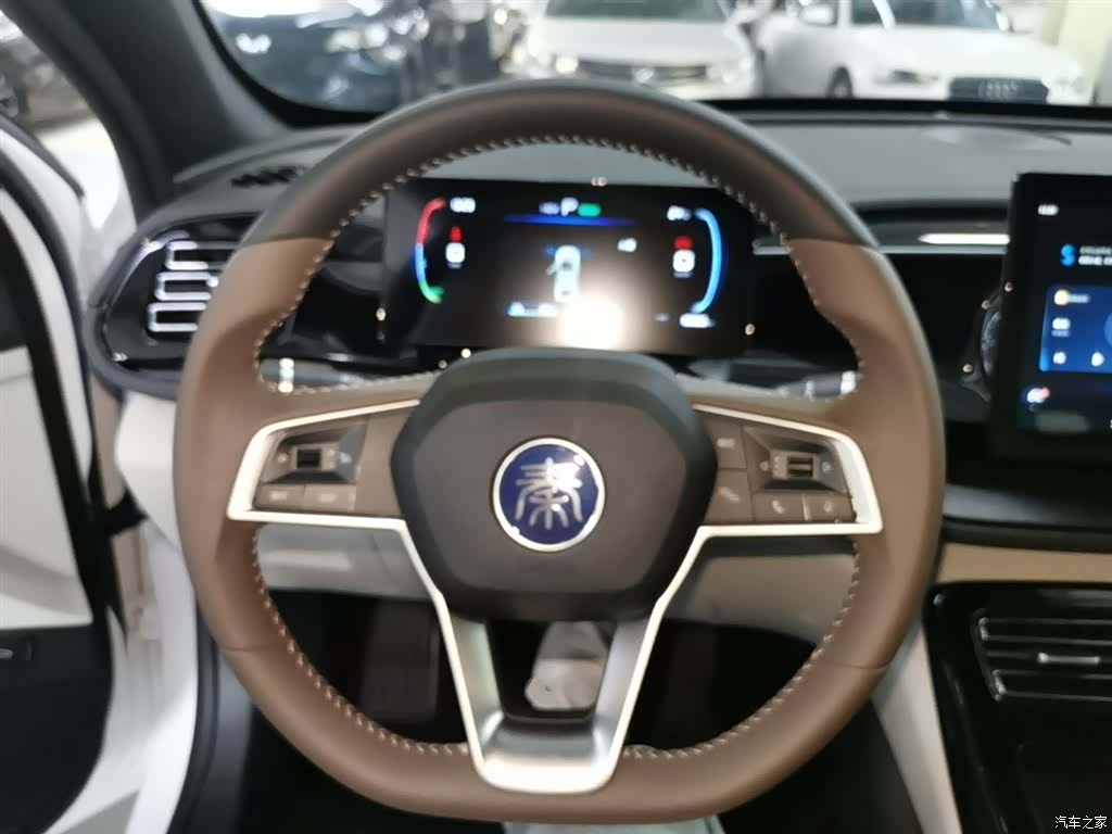 BYD Qin, 2024 11