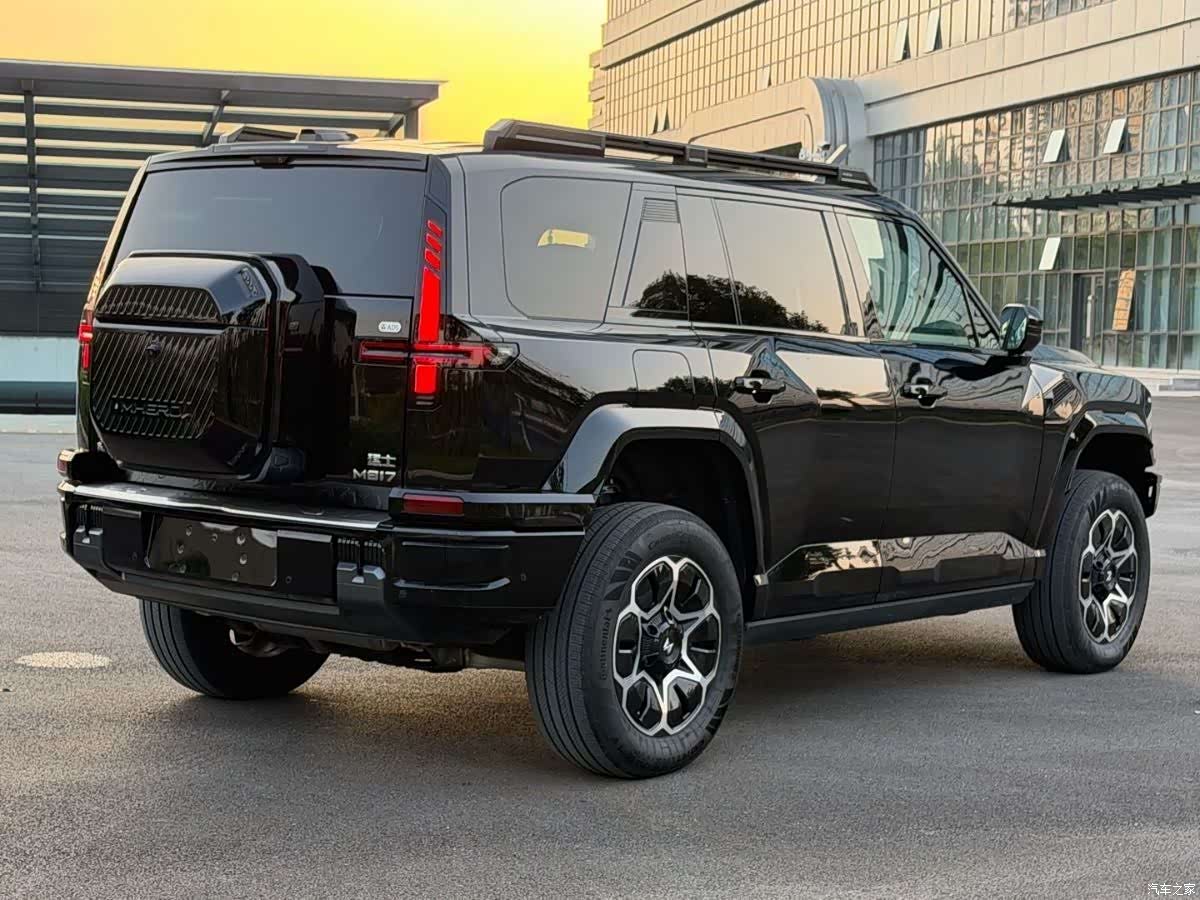 Mengshi M817, 2026 7