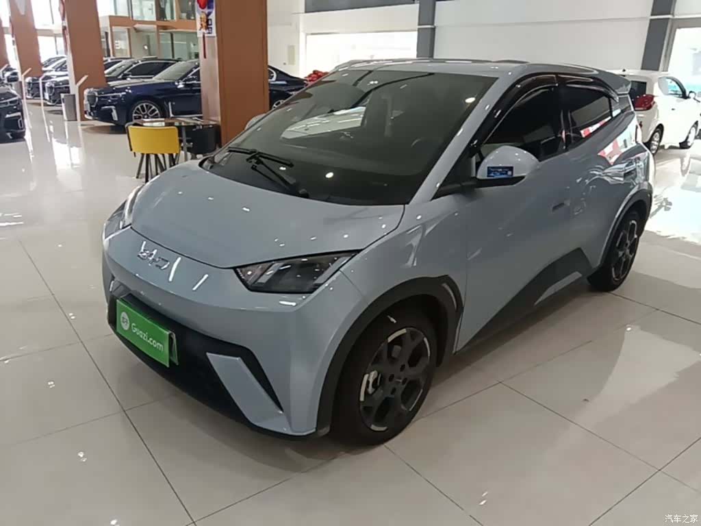 BYD Seagull, 2025 1