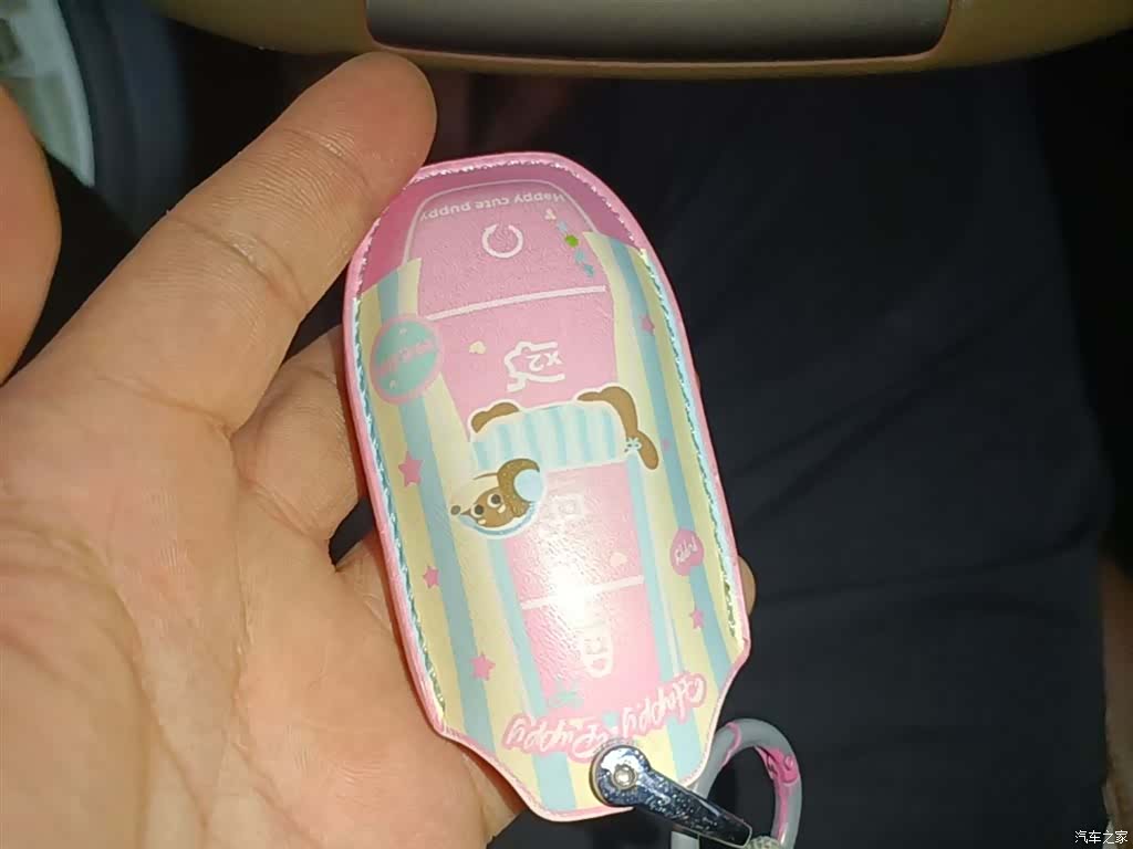 BYD Dolphin, 2024 9