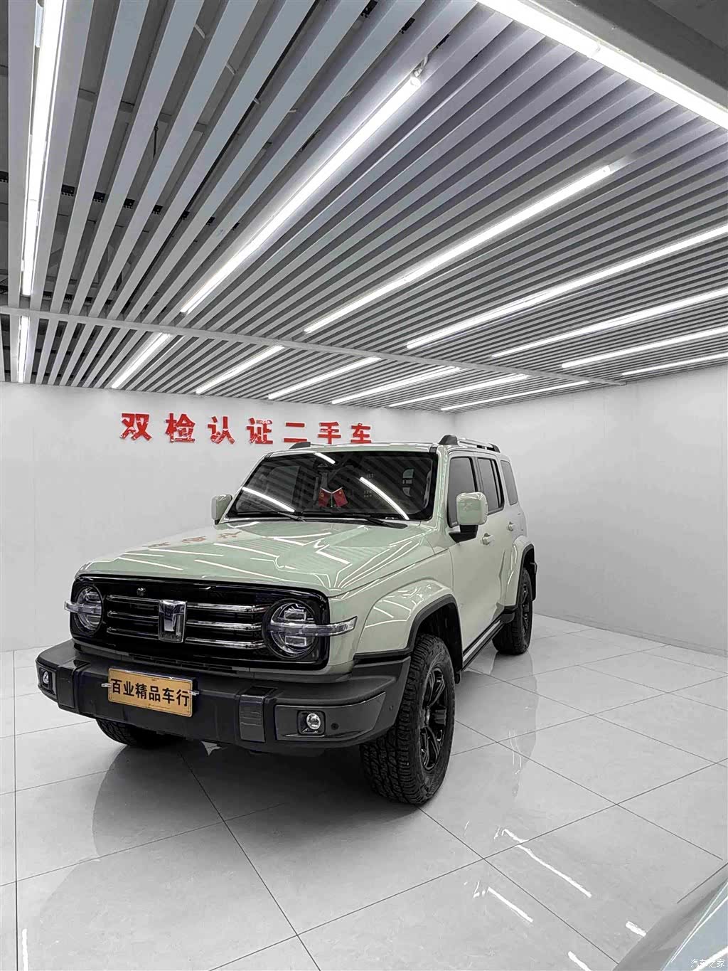 Tank 300