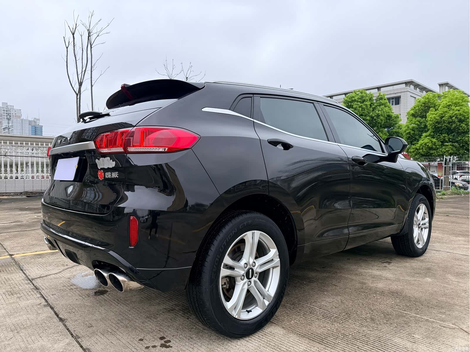 WEY VV5, 2019 6