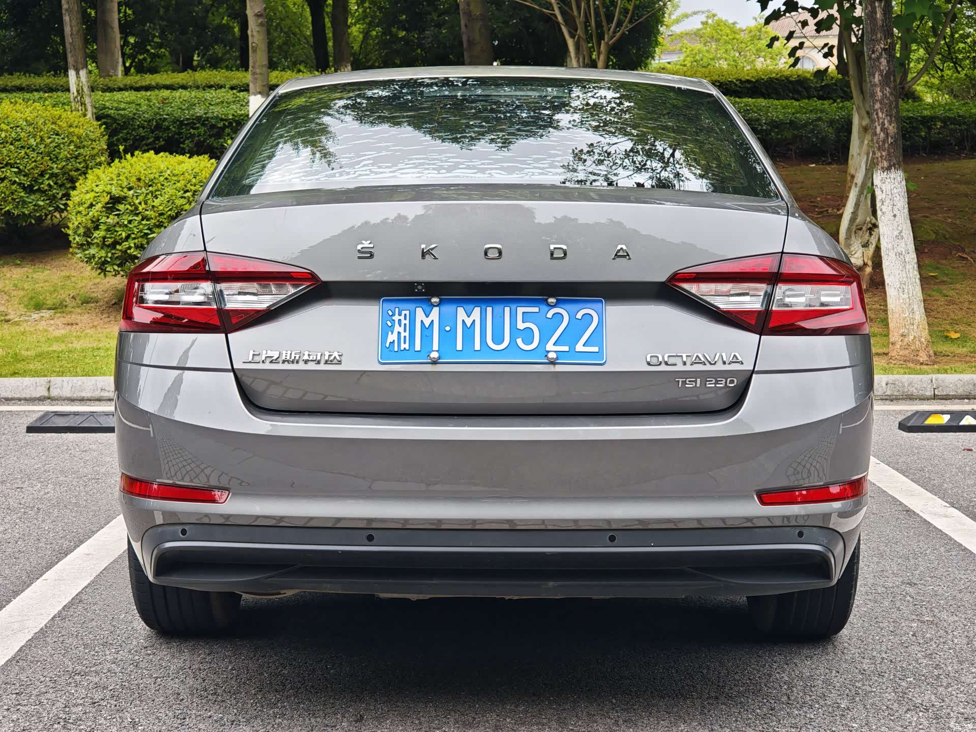 Skoda Octavia, 2019 4