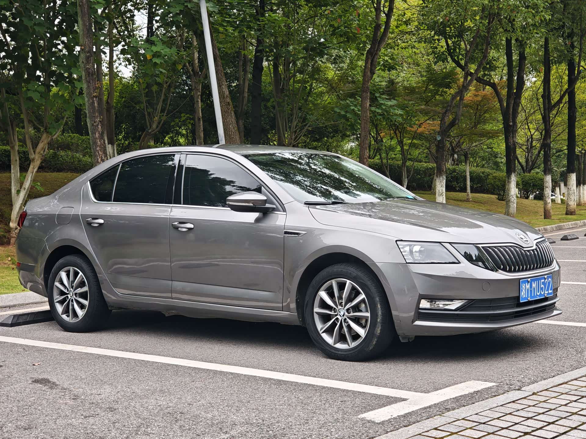 Skoda Octavia, 2019 3