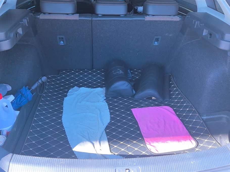 Volkswagen C-TREK Wei Collar