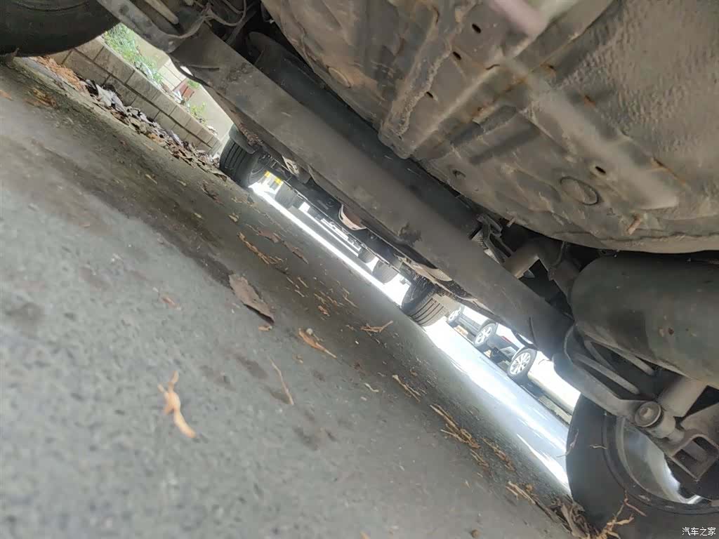Bisu T3, 2019 25