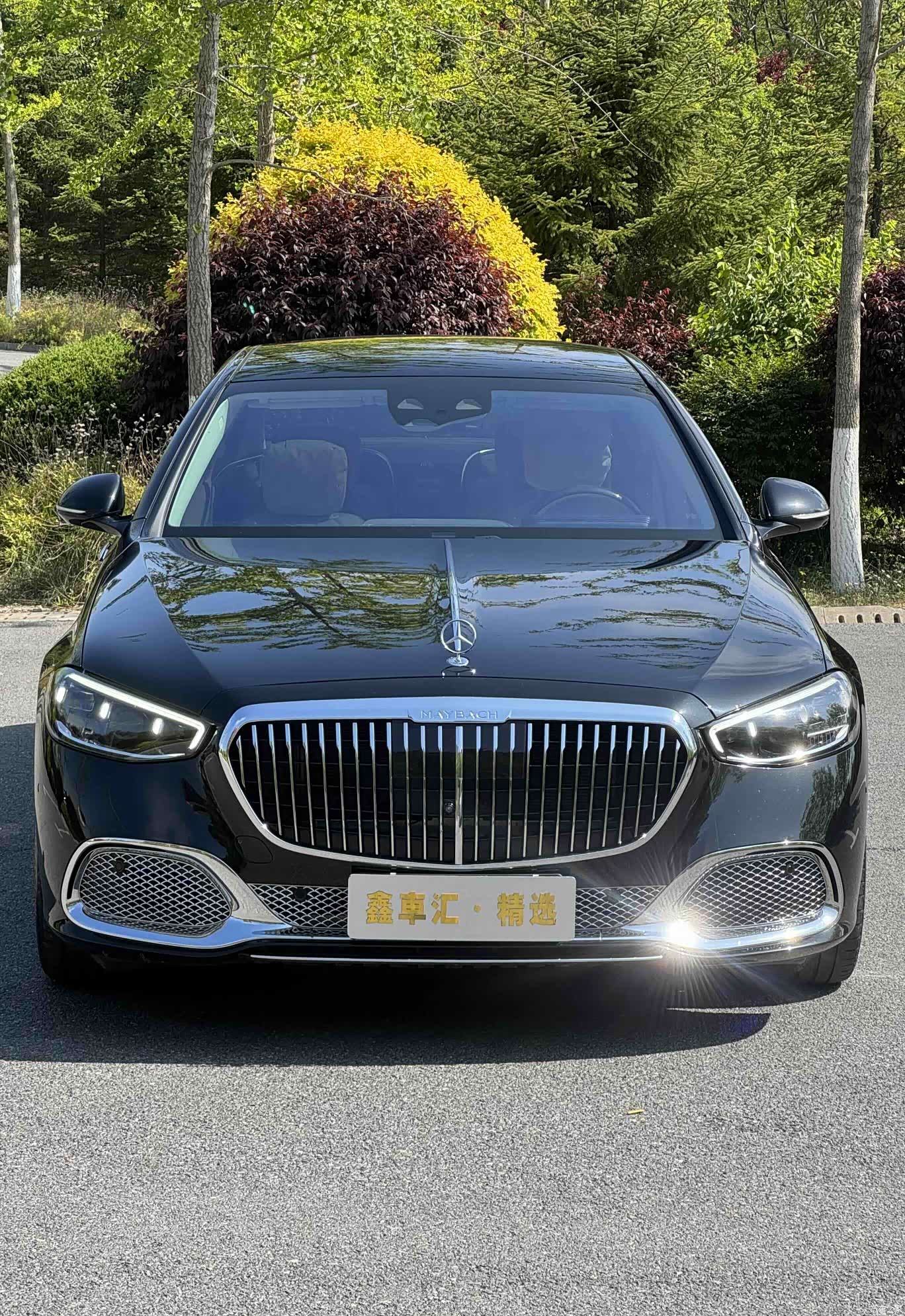Maybach S-Class, 2022 4