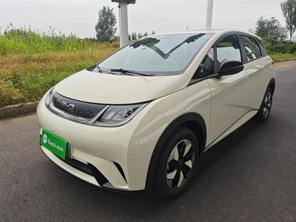 BYD dolphin