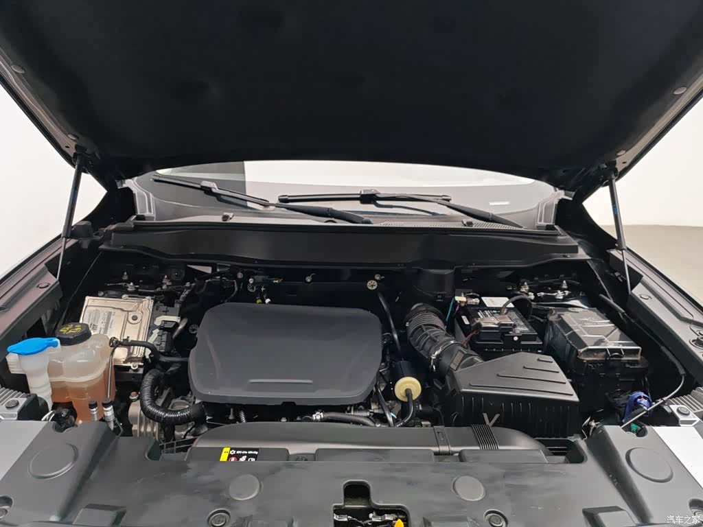 Haval Big Dog, 2024 6