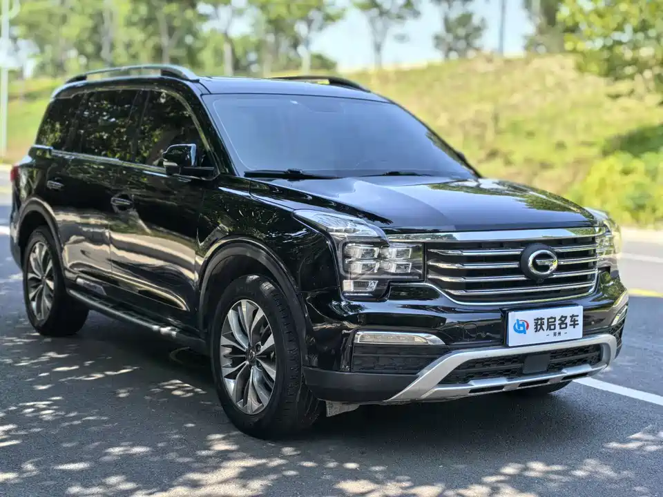 Trumpchi Trumpchi GS8