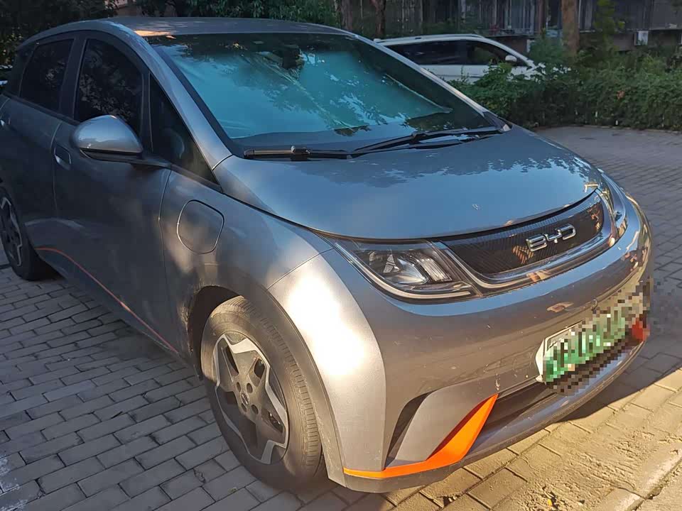 BYD dolphin