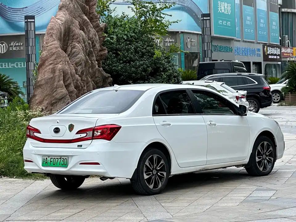 BYD Qinxin Energy