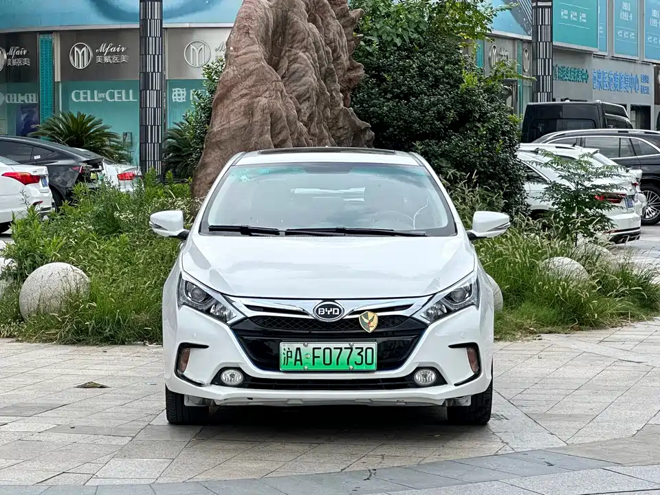 BYD Qinxin Energy