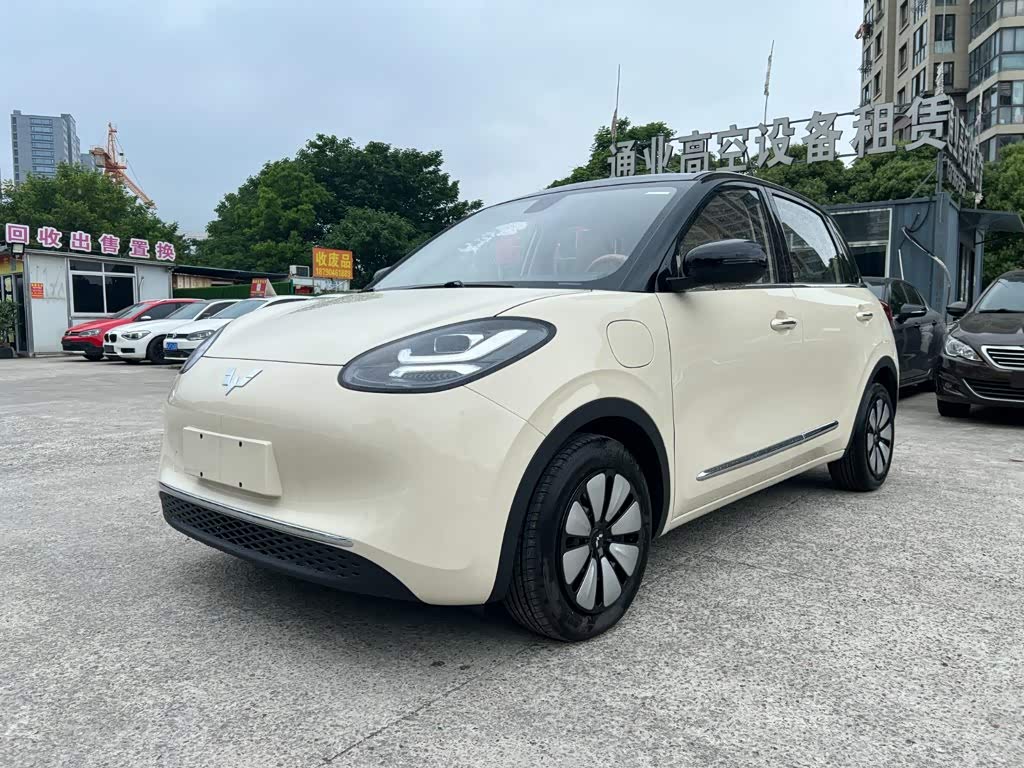 Wuling Binguo