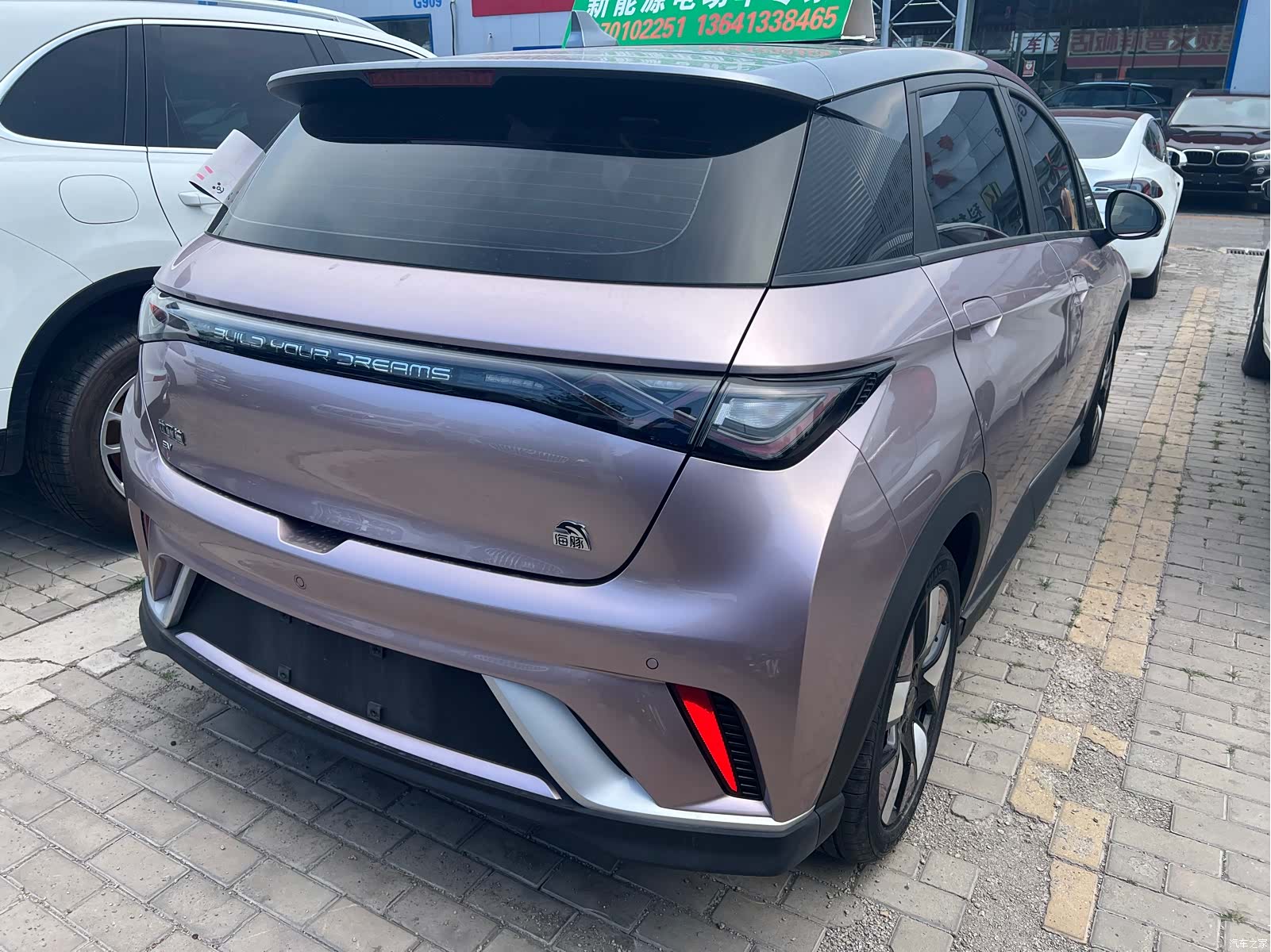 BYD Dolphin, 2022 4