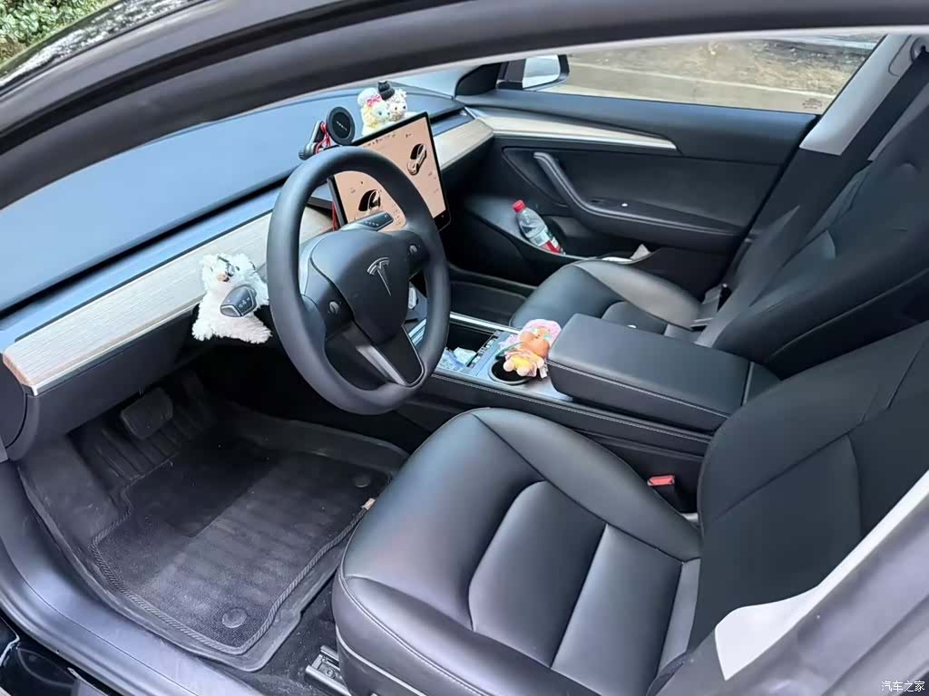 Tesla Model 3, 2023 3
