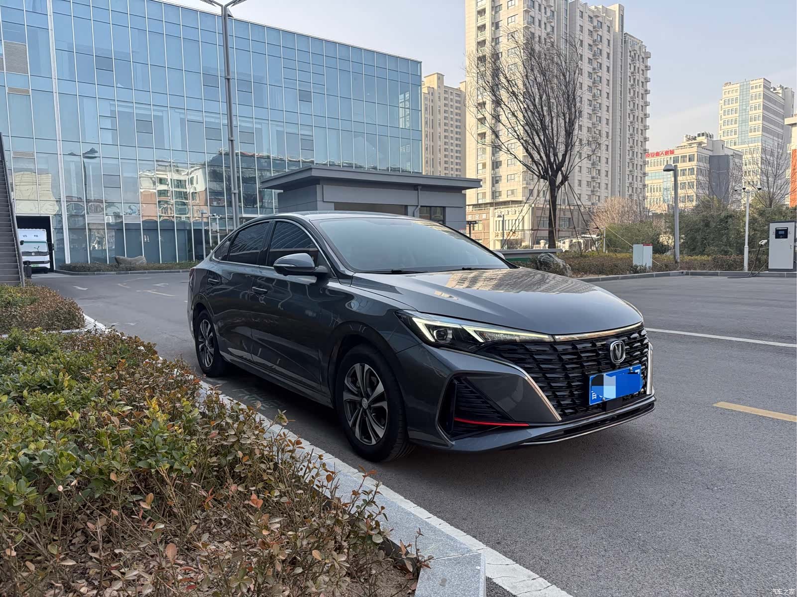 Changan Eado, 2023 3