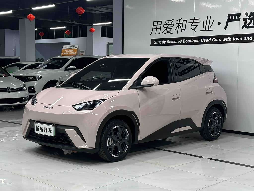 BYD Seagull