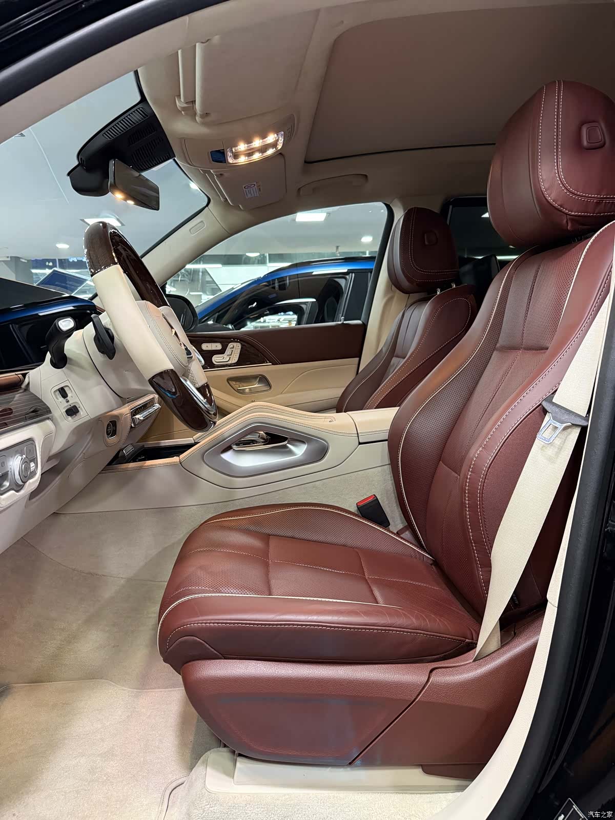 Maybach GLS, 2021 16