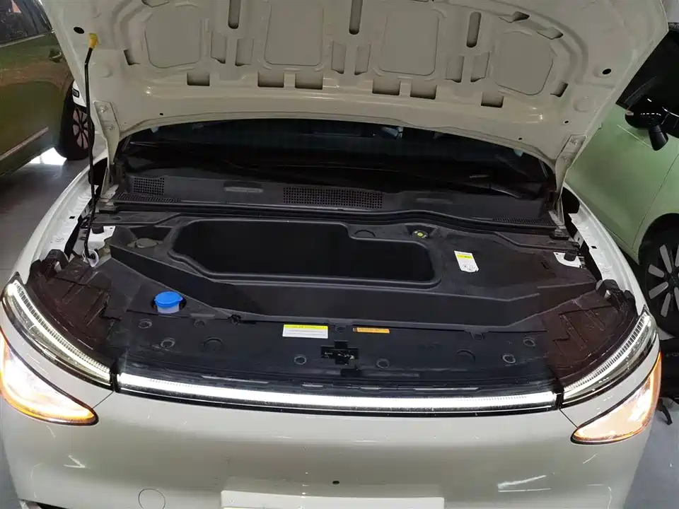 Dongfeng Nammi Nano 01