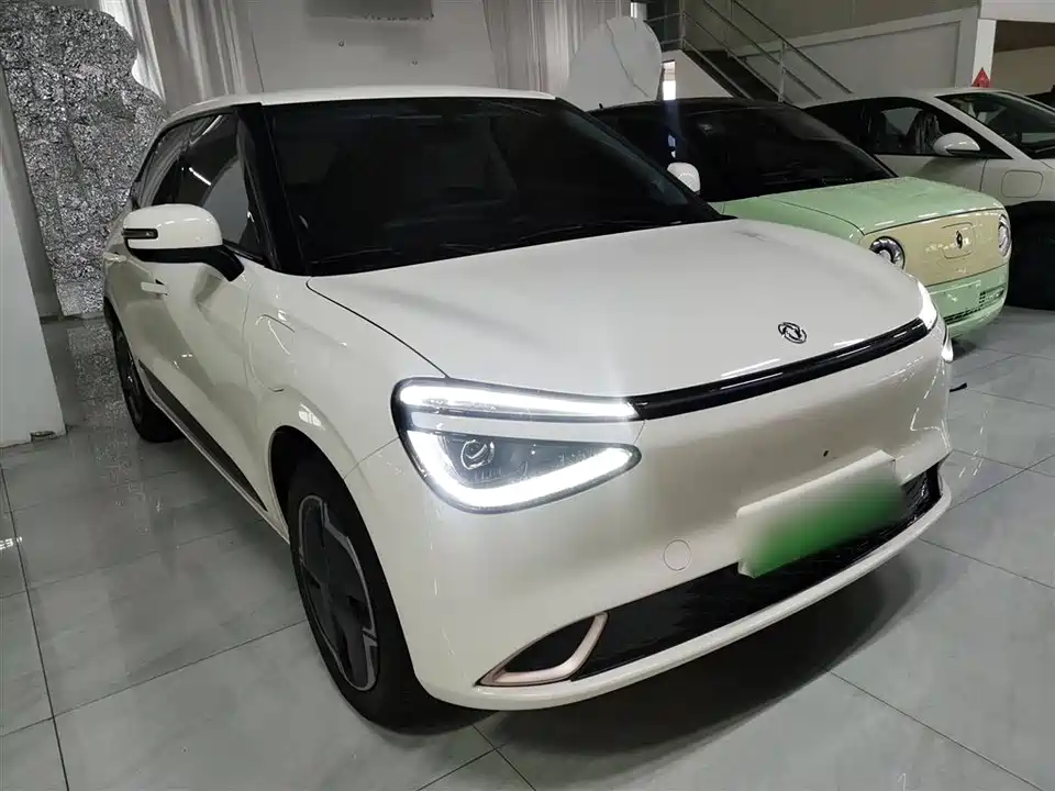 Dongfeng Nammi Nano 01