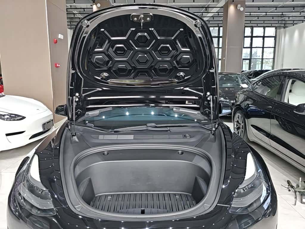 Tesla Model 3, 2021 20