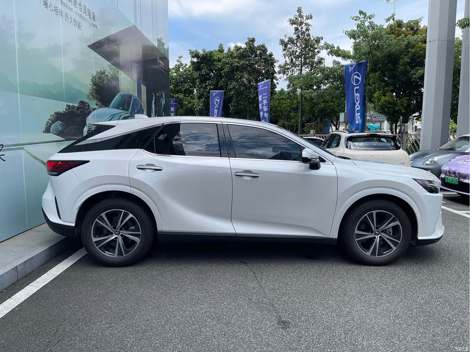 Lexus RX, 2024 13