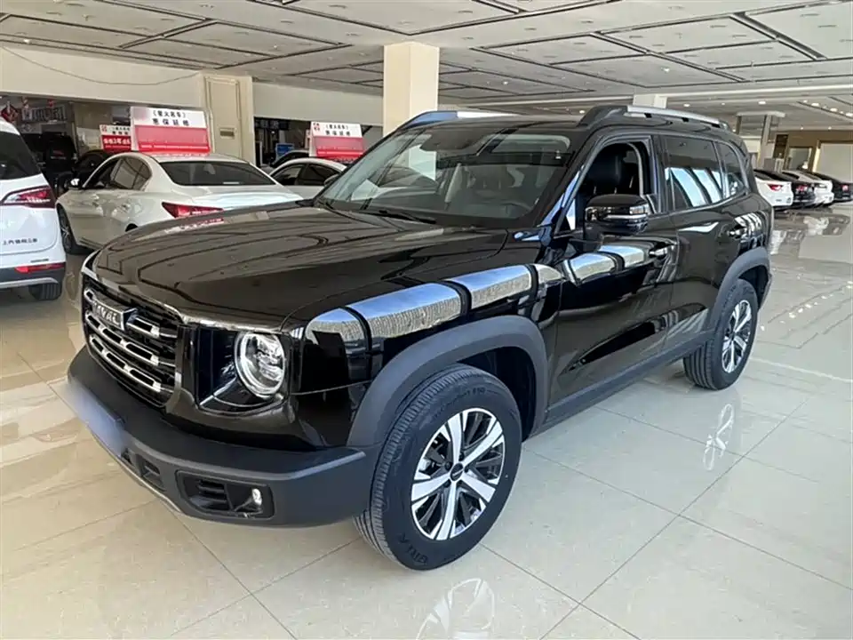 Haval Big dog