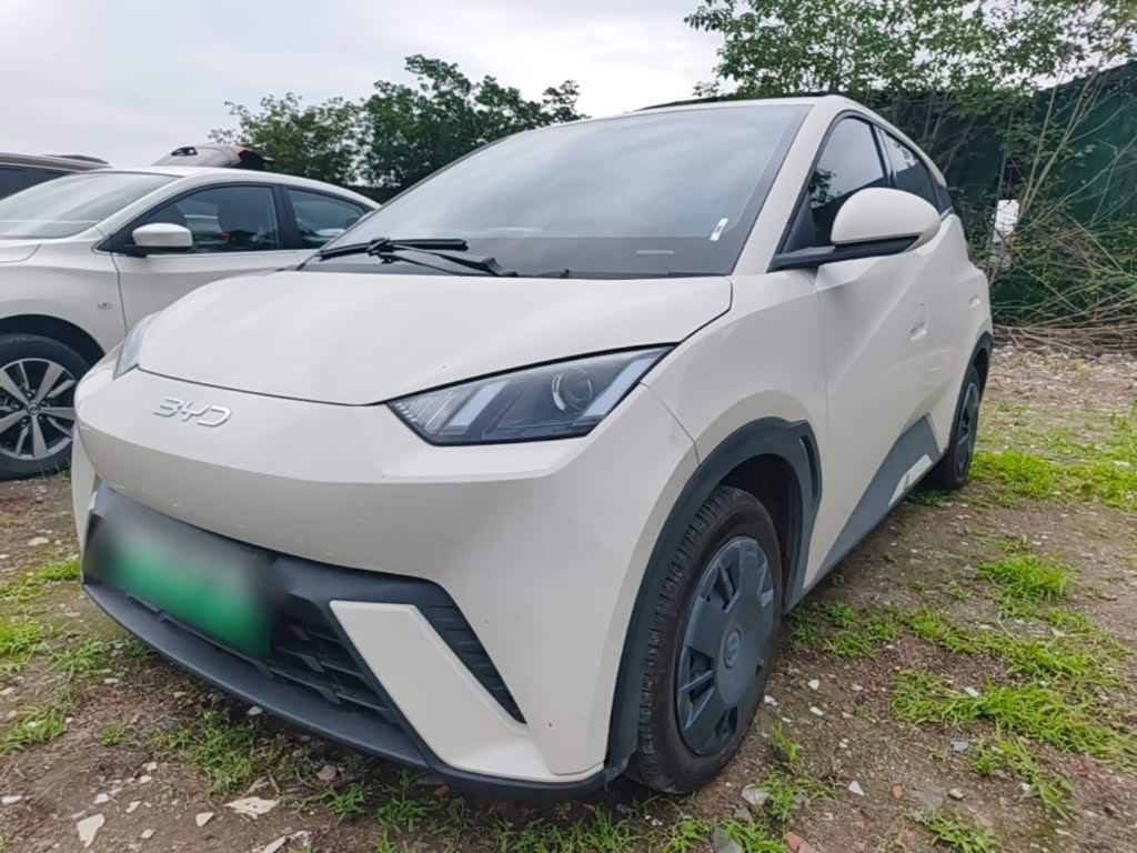 BYD Seagull