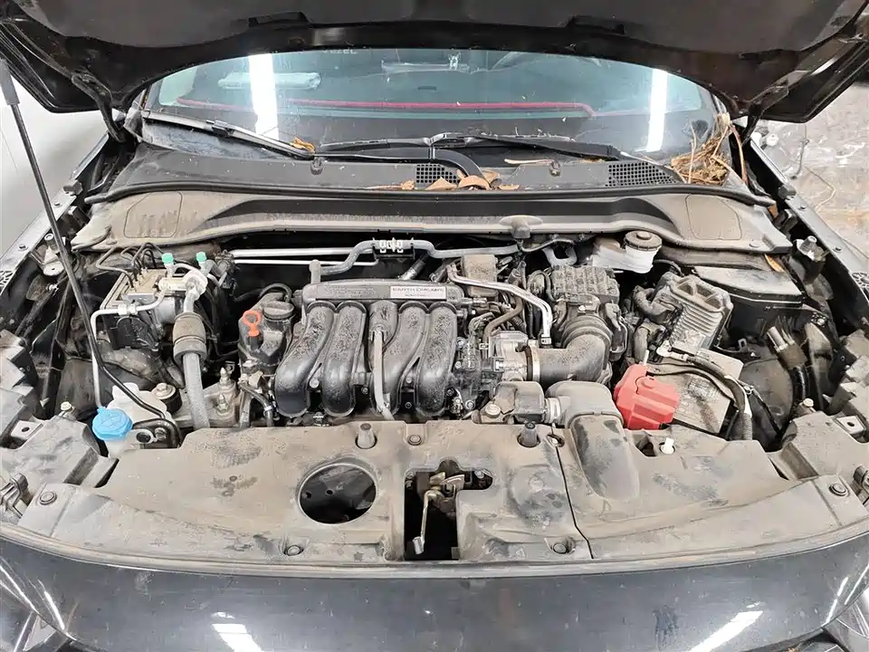 Honda Binzhi Honda Binzhi