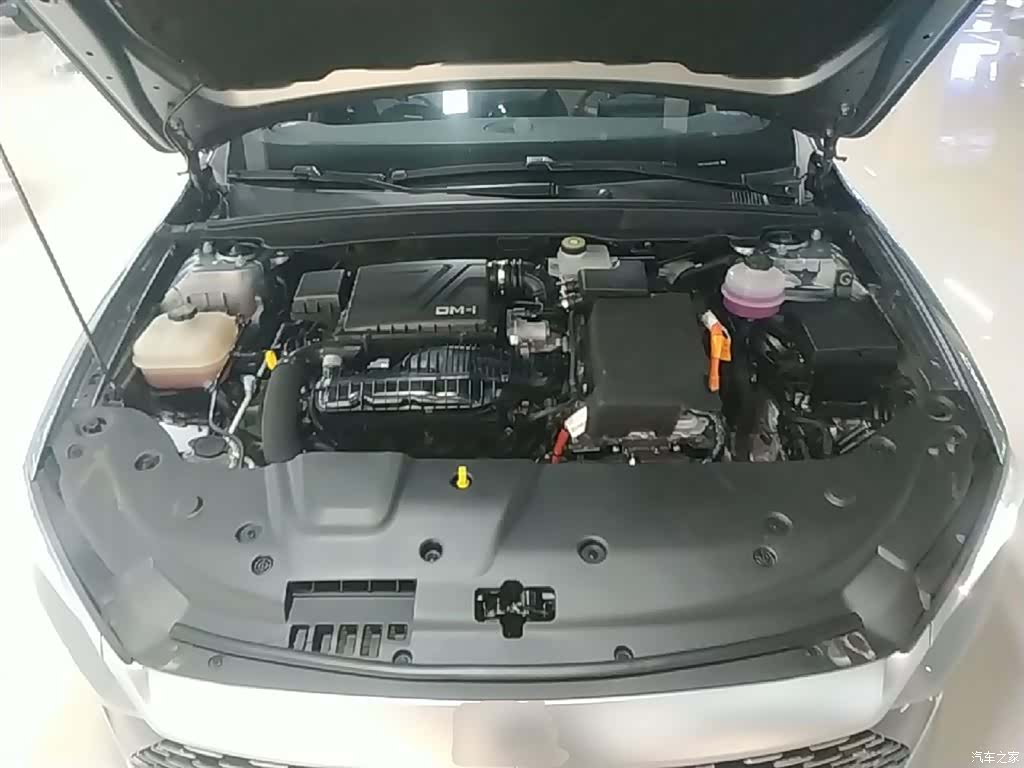 BYD Qin, 2024 20