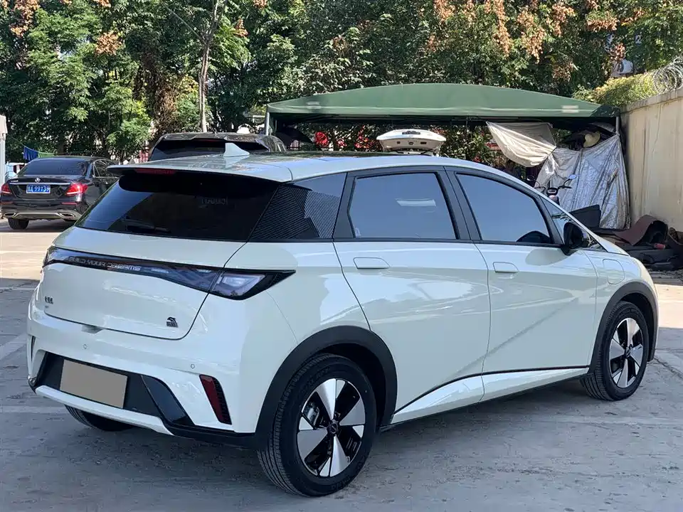 BYD dolphin