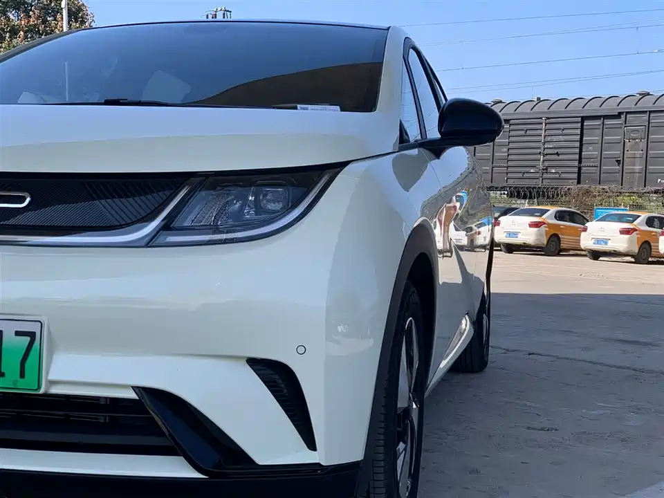 BYD dolphin