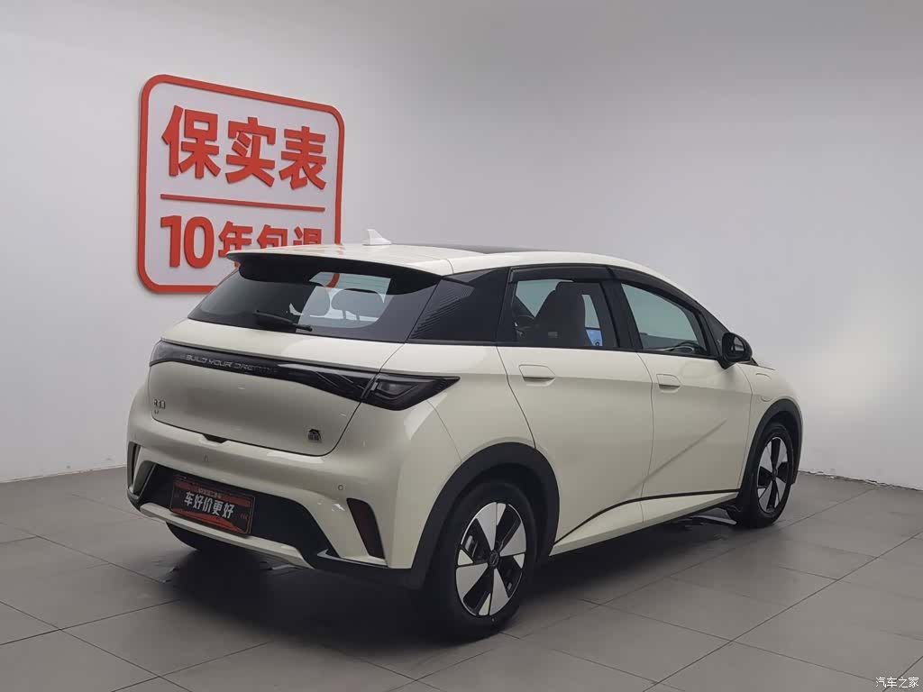 BYD Dolphin, 2024 2
