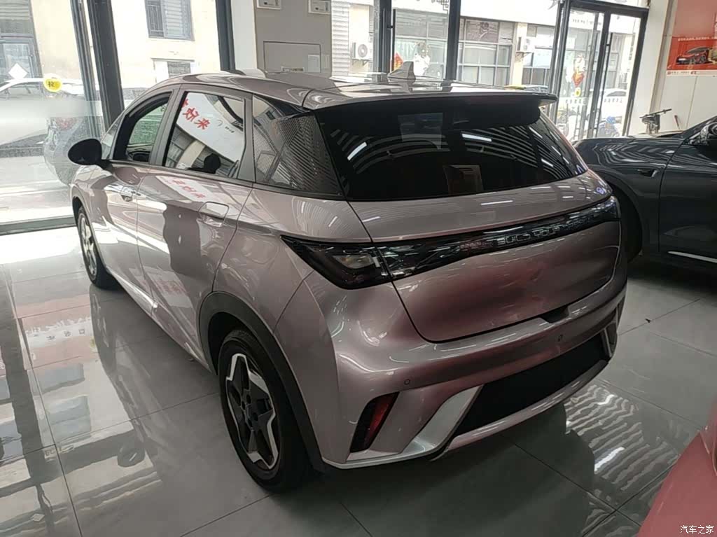 BYD Dolphin, 2023 все фото