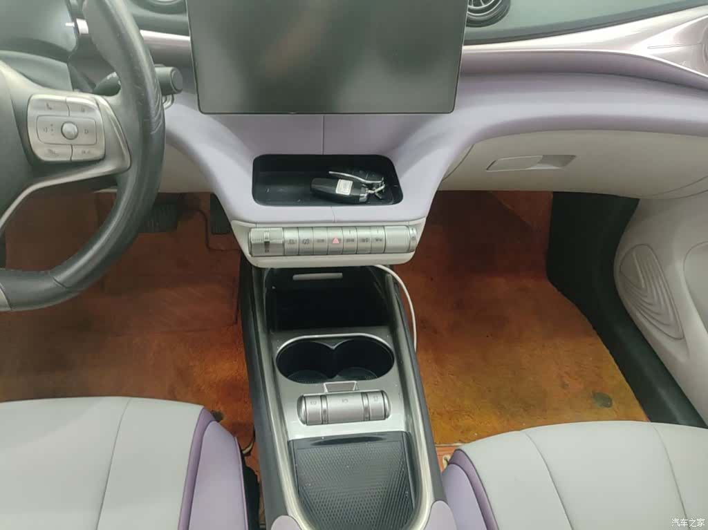 BYD Dolphin, 2023 14