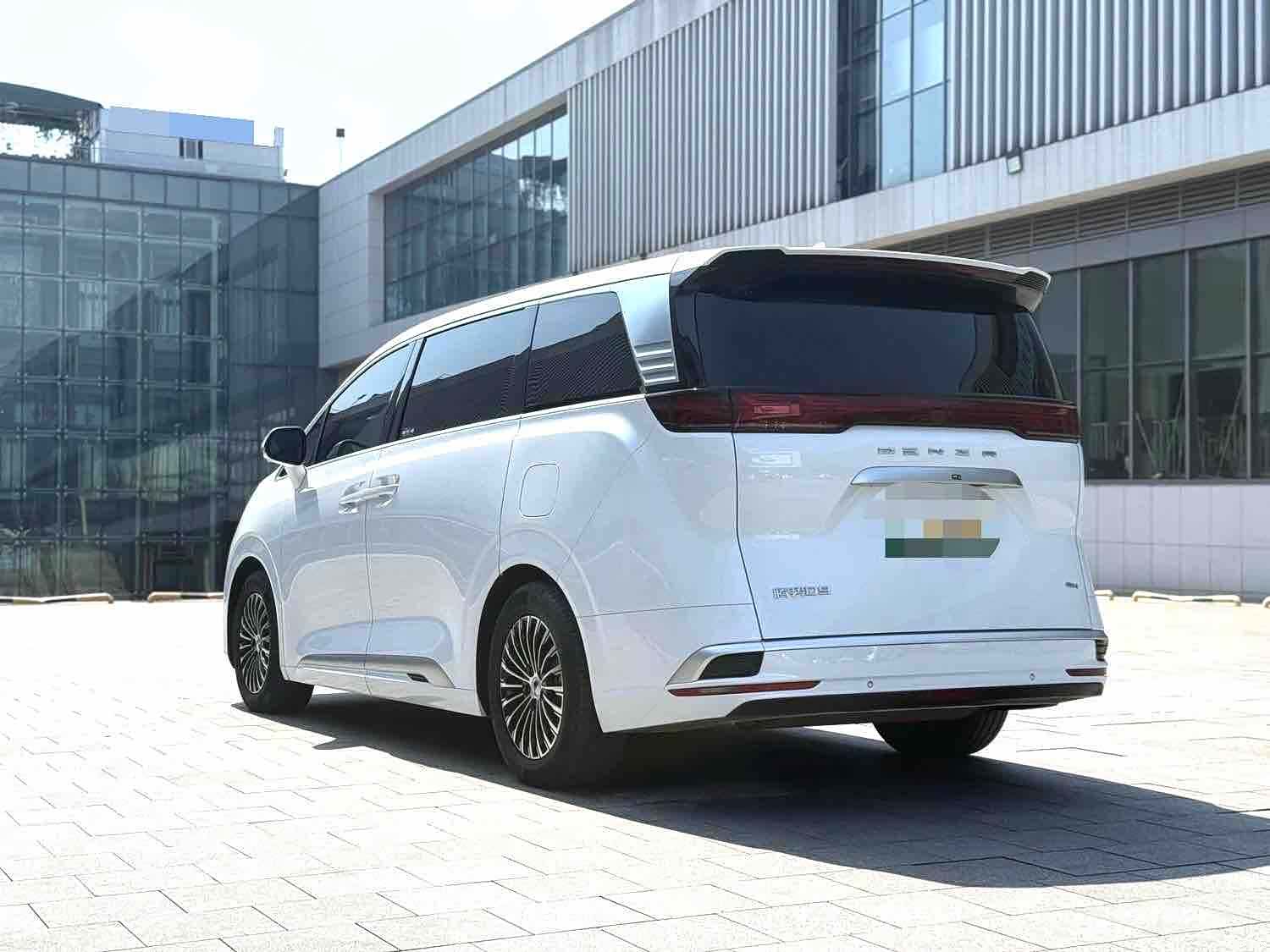 Denza D9, 2024 10