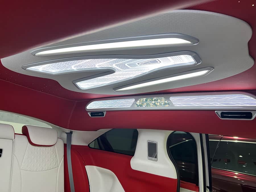 Toyota SIENNA 2024, фото 19
