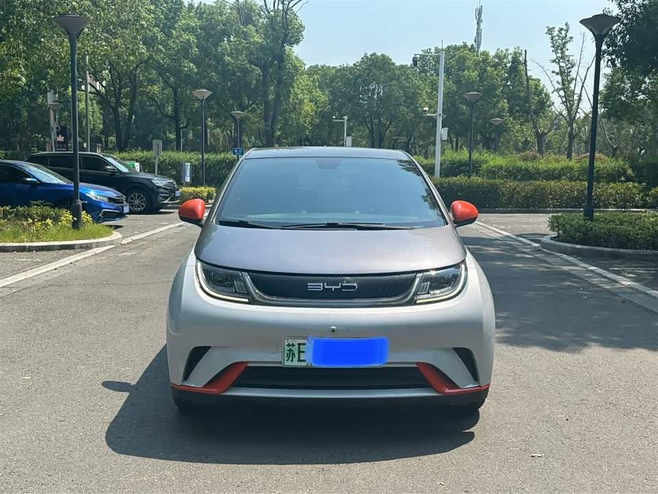 BYD dolphin