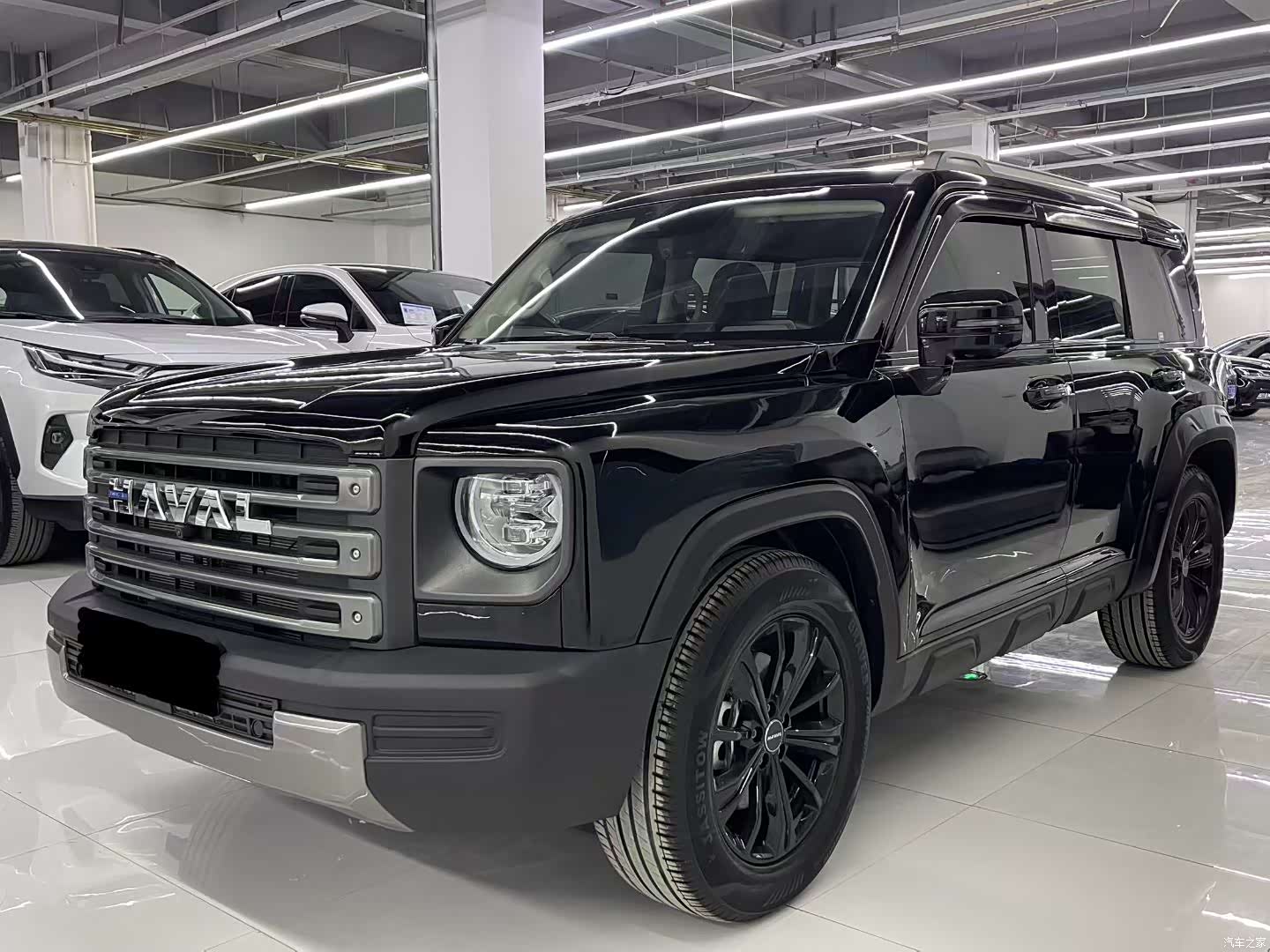 Haval Raptor