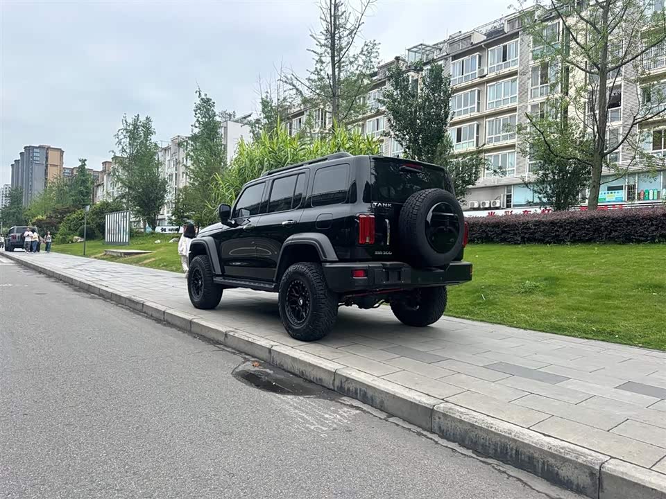 Tank 300